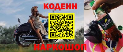 эйфоретик Кингисепп