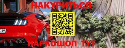 эйфоретик Кингисепп