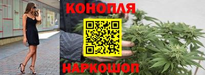 эйфоретик Кимры
