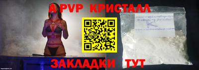 эйфоретик Кингисепп